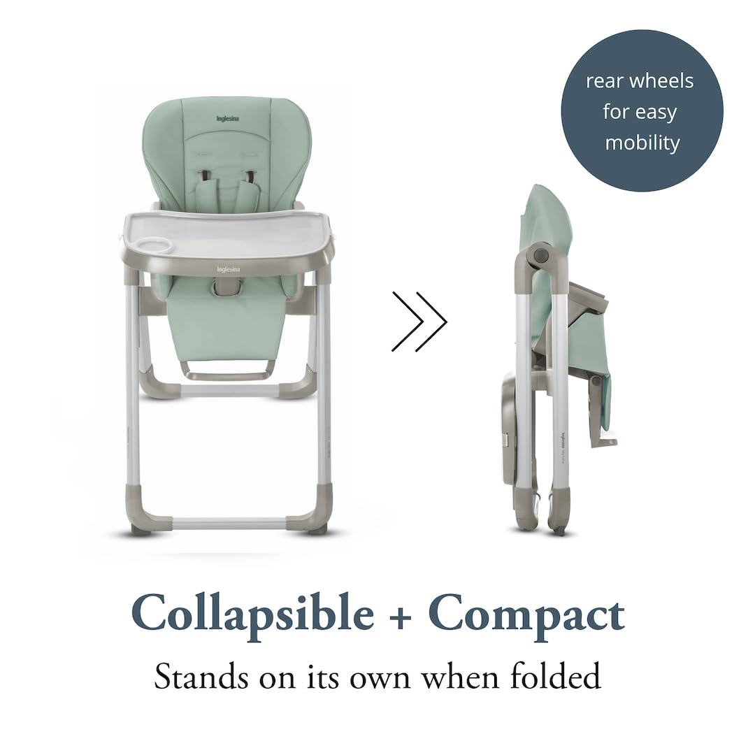 Inglesina My time Highchair, Mint - Adjustable High Chair for Babies & Toddlers, 4 Height & 3 Recline Settings, Collapsible, Tool-Free Assembly, BPA Free, Removable Tray for Easy Cleaning