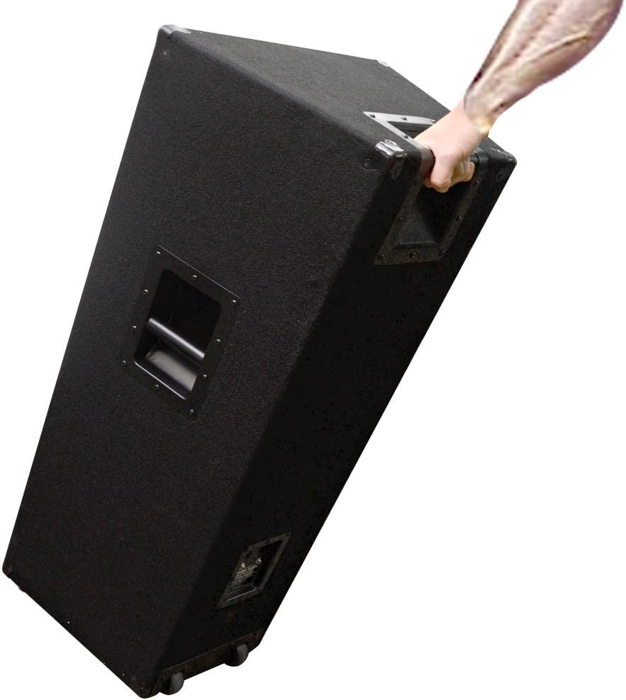 Seismic Audio FL-155PC-Single Dual Premium 15-Inch PA/DJ Speaker Cabinet with Titanium Horn 800-Watts RMS