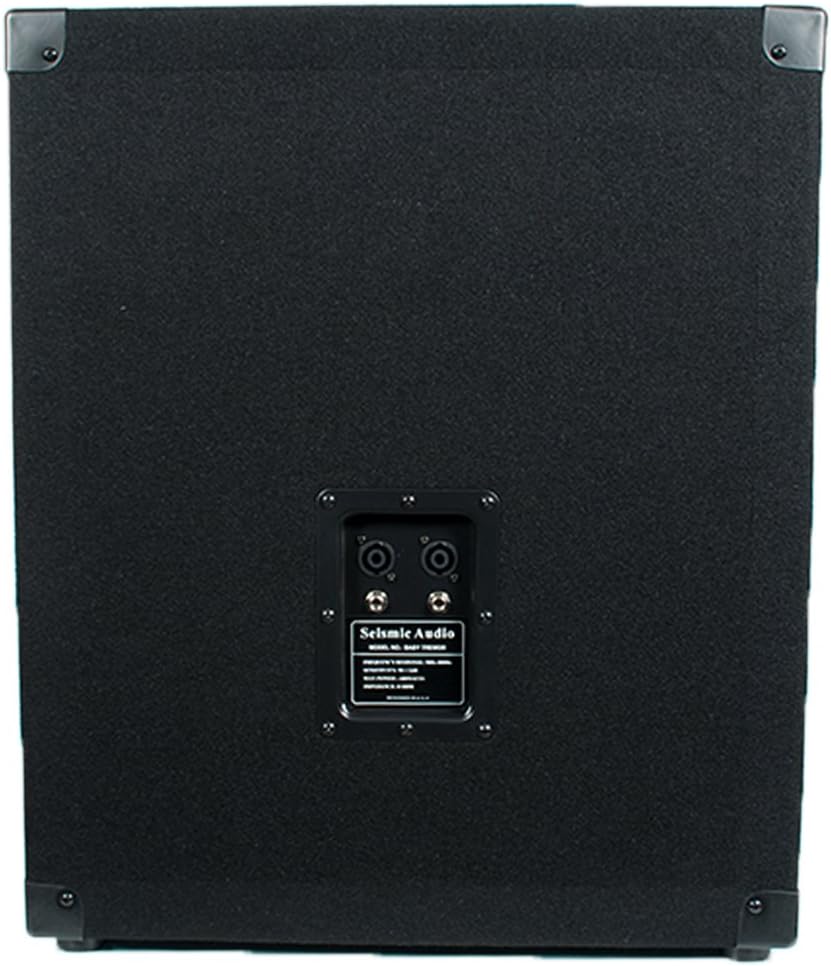 Seismic Audio Baby-Tremor_Empty Empty 15-Inch Subwoofer Cabinet PA/DJ/Band Live Sound Loudspeaker