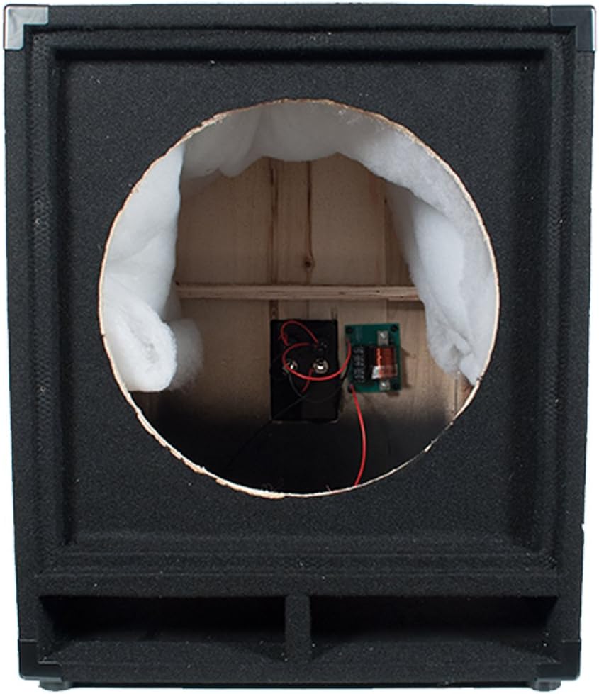 Seismic Audio Baby-Tremor_Empty Empty 15-Inch Subwoofer Cabinet PA/DJ/Band Live Sound Loudspeaker