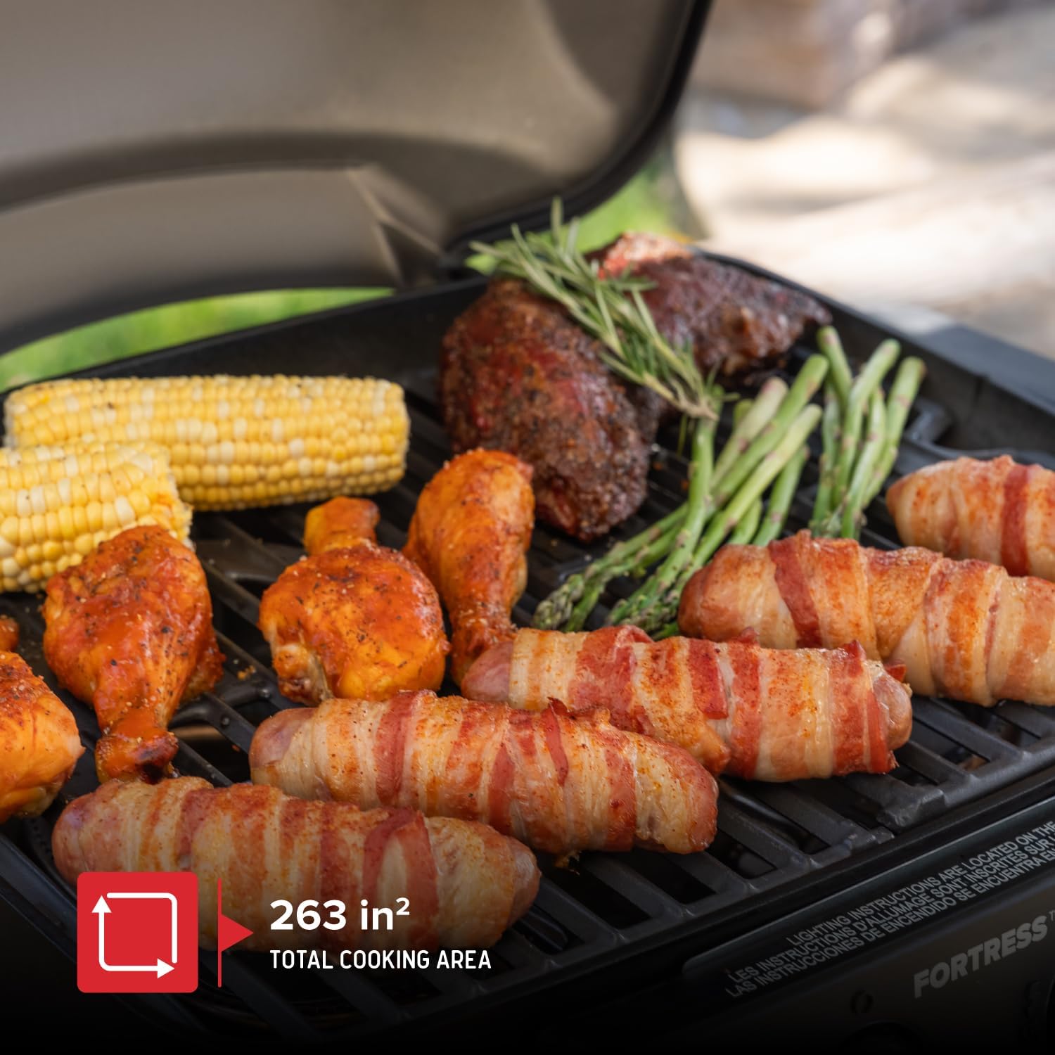 Nexgrill Fortess 2-Burner Portable Gas Grill & Griddle Combo with 263 SQ In Cooking Space, Easy Lift Handles, 13,500 BTU, 2-in-1 Small Tabletop Grill for Camping, Outdoor Cooking, and More - 820-02005