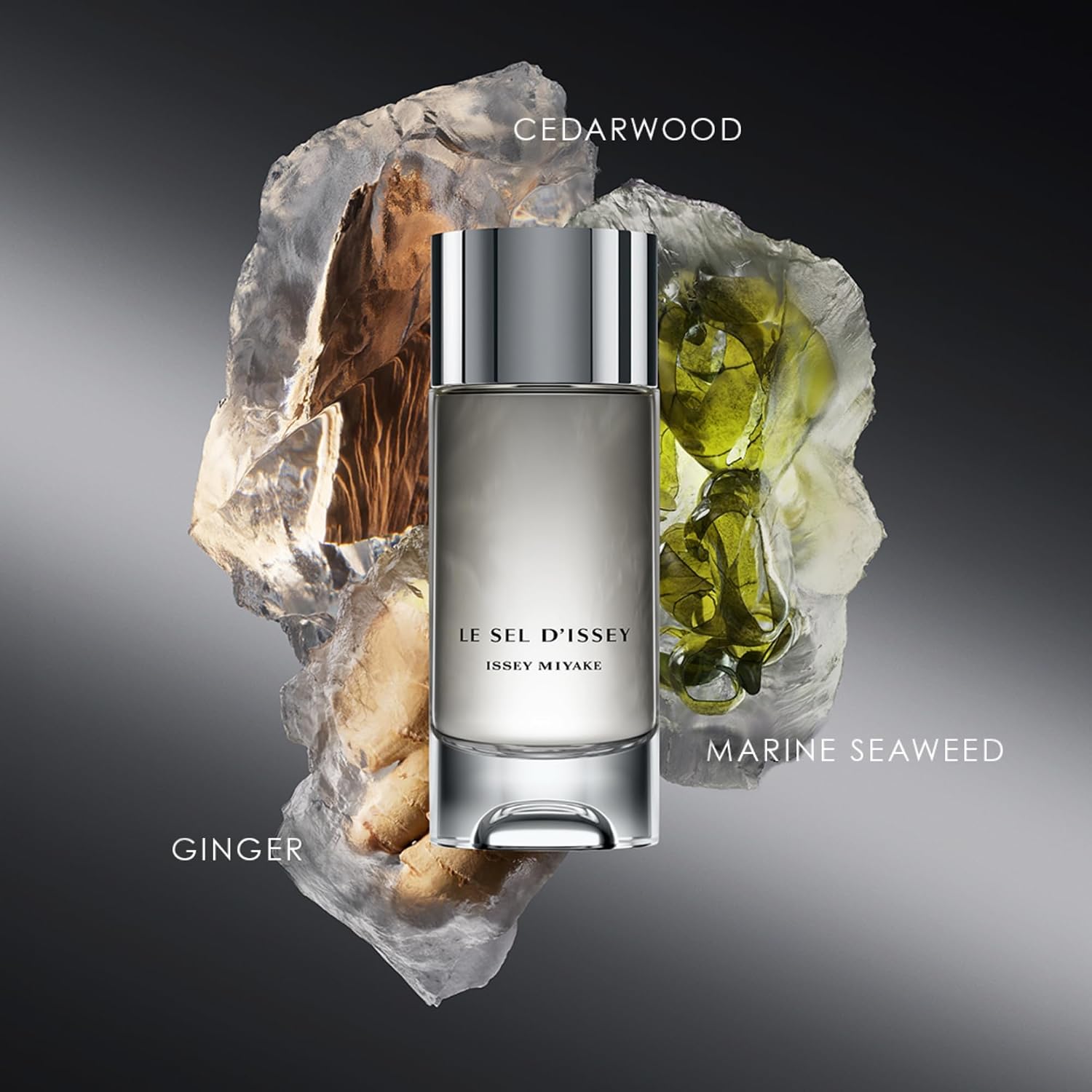 Issey Miyake Le Sel d'Issey Eau de Toilette Holiday Fragrance Set for Men - Includes Eau de Toilette (100 mL) & Deodorant Spray (150 mL)