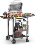 2-Burner Gas Grill, Stainless Steel 160,00 BTU BBQ Grill with Foldable Side Shelves & Storage Shelf – Ideal Propane Grill for Outdoor Barbecues, Patio Gatherings, and Camping