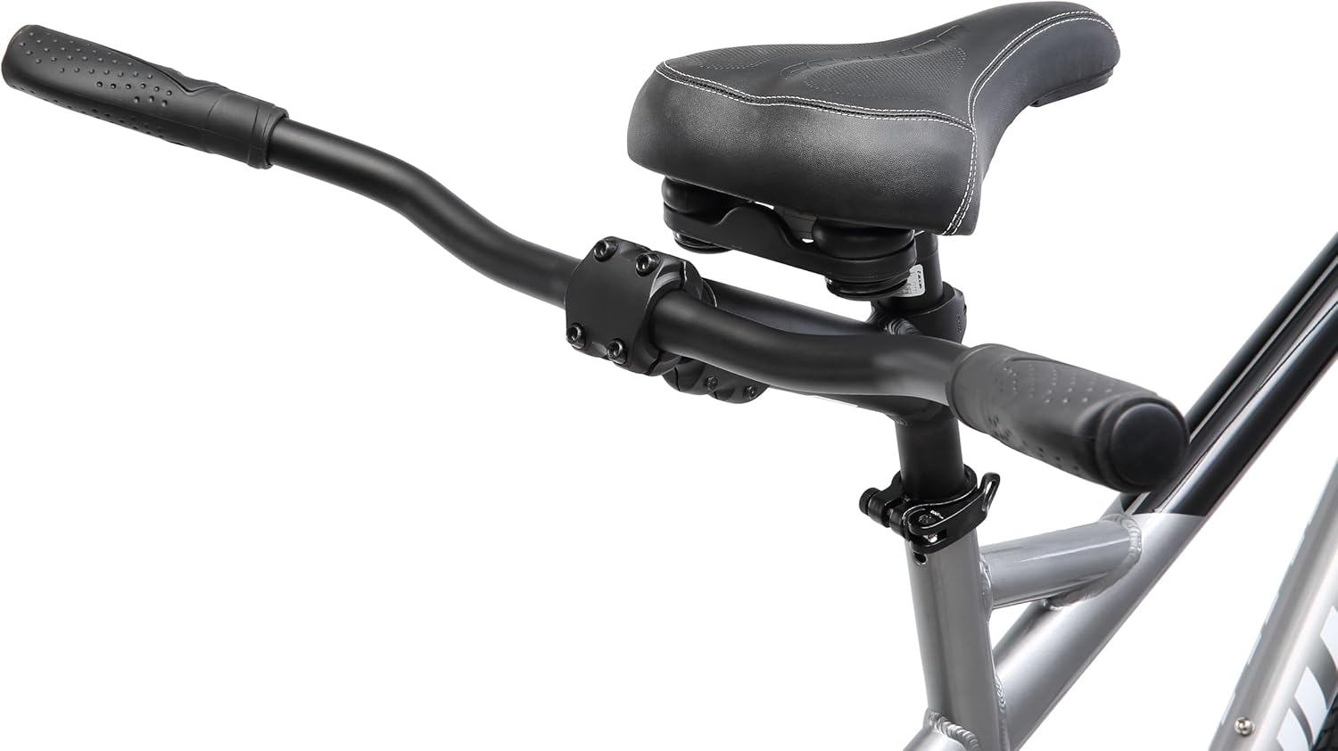 Schwinn Twinn
