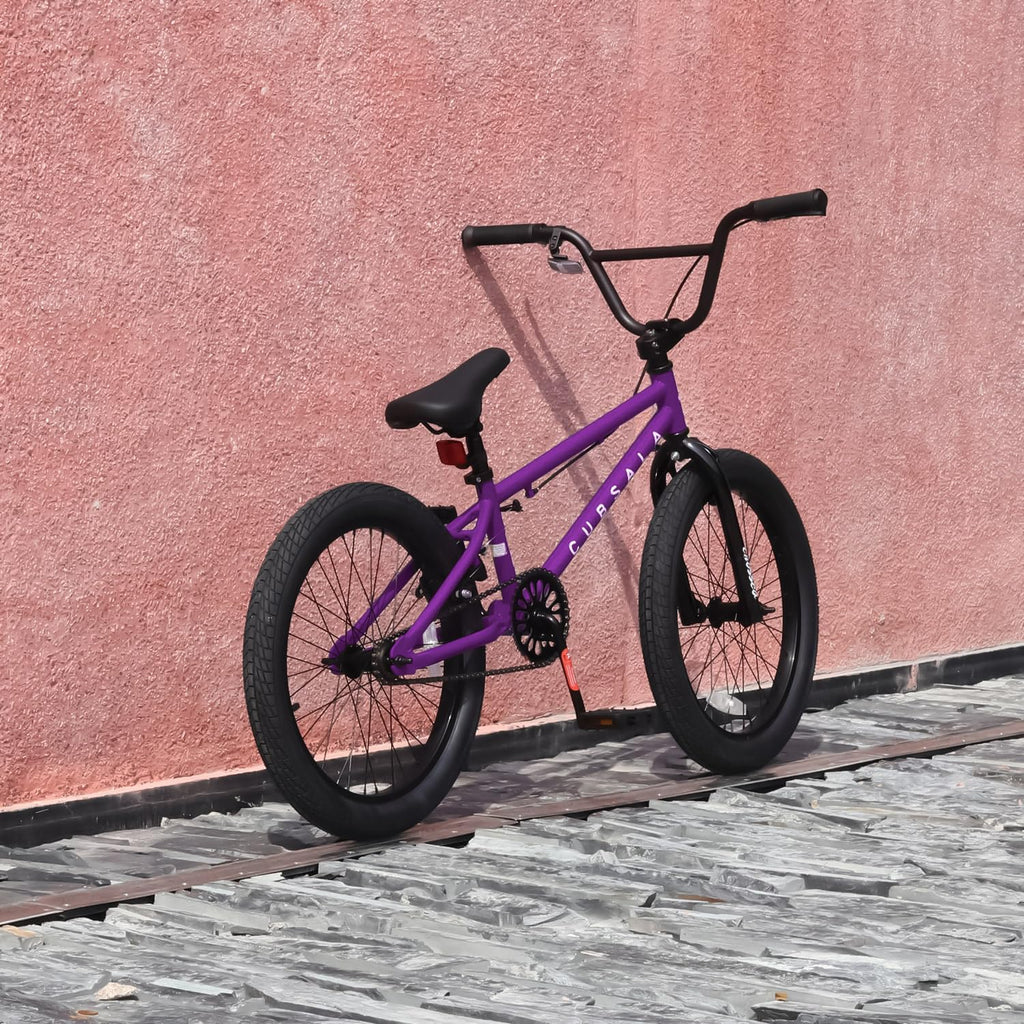cubsala Freestyle BMX Bike, 18 20 Inch Kids Bicycle for 5-13 Years Old Kids and Beginner Level Rider, Multiple Colors