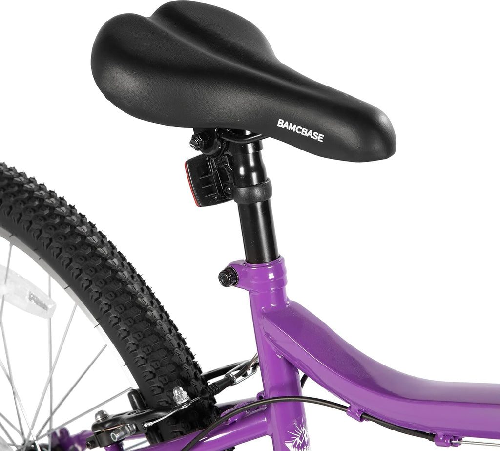 HILAND 26 Inch Womens and Mens Mountain Bike, 18 Speed Steel Frame Adult Bicycle, MTB Bikes with Suspension Fork, V Brake, Mountain Bicycle for Woman Man, Purple Green White