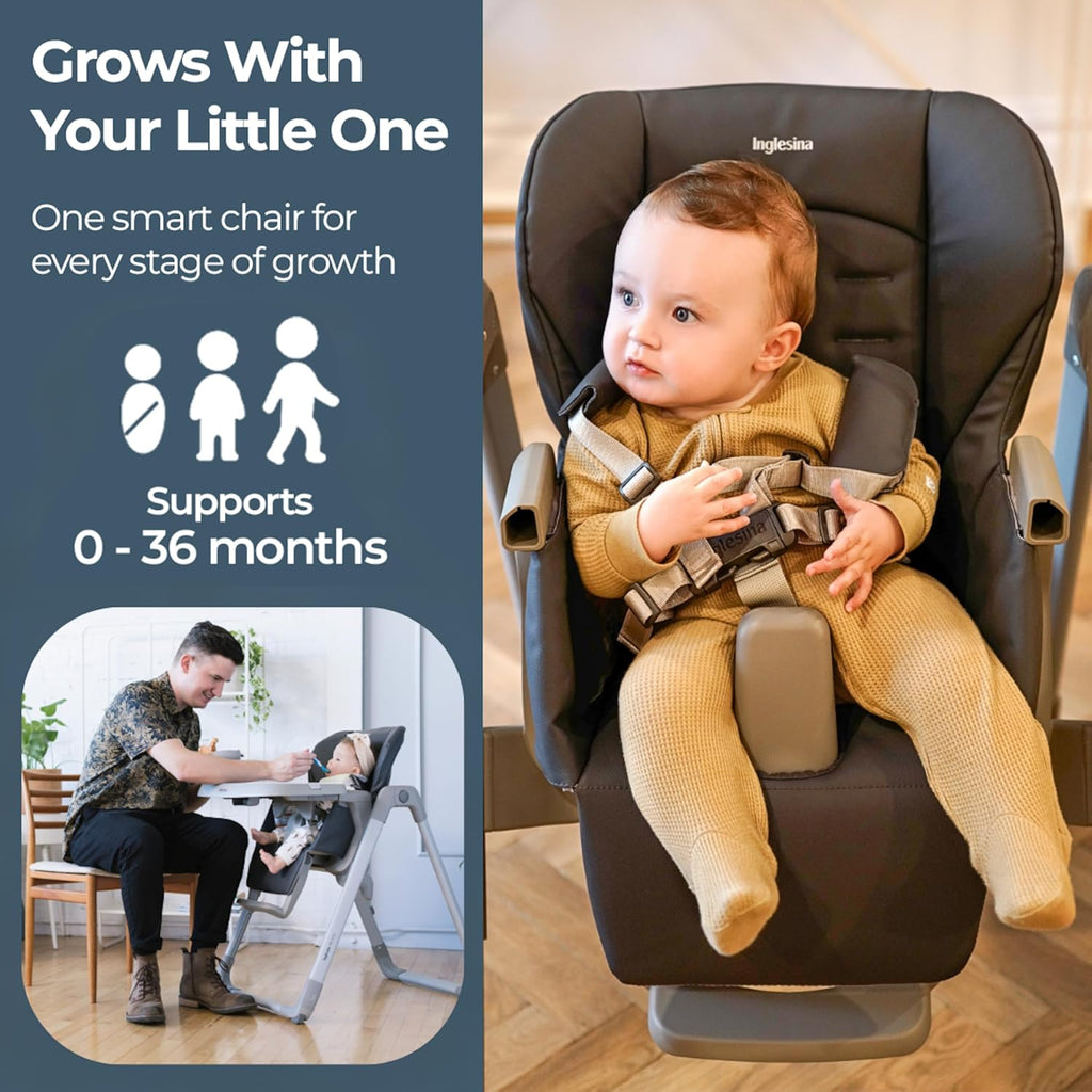 Inglesina My time Highchair, Pepper - Adjustable High Chair for Babies & Toddlers, 4 Height & 3 Recline Settings, Collapsible, Tool-Free Assembly, BPA Free, Removable Tray for Easy Cleaning