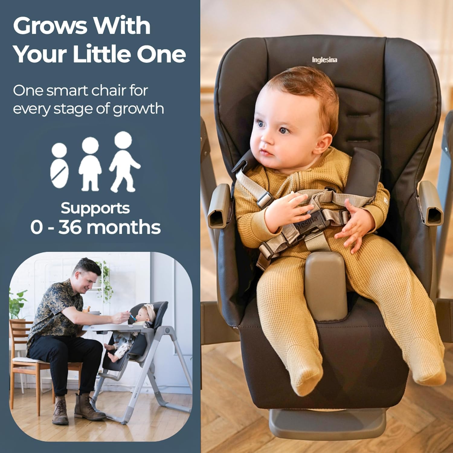 Inglesina My time Highchair, Pepper - Adjustable High Chair for Babies & Toddlers, 4 Height & 3 Recline Settings, Collapsible, Tool-Free Assembly, BPA Free, Removable Tray for Easy Cleaning