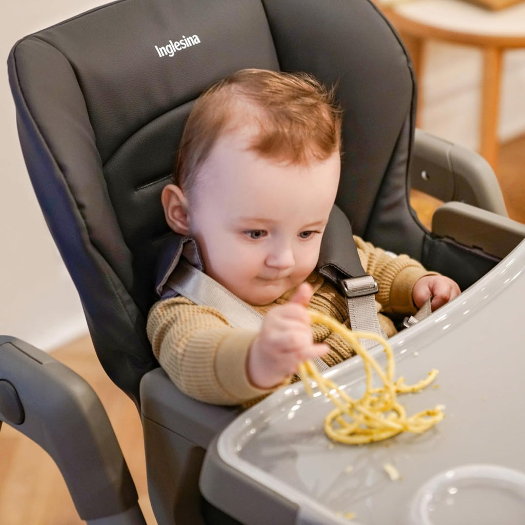 Inglesina My time Highchair, Pepper - Adjustable High Chair for Babies & Toddlers, 4 Height & 3 Recline Settings, Collapsible, Tool-Free Assembly, BPA Free, Removable Tray for Easy Cleaning