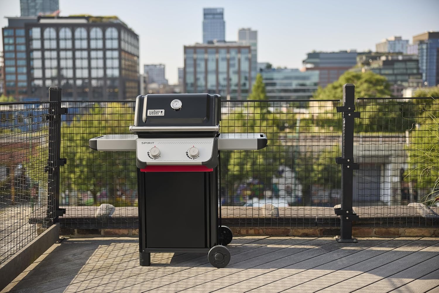 Weber Spirit E-210 Liquid Propane Gas Grill for Outdoor Cooking and BBQ, 2 Burners, Black – Porcelain-Enameled Cast-Iron Grates & Snap-Jet Ignition