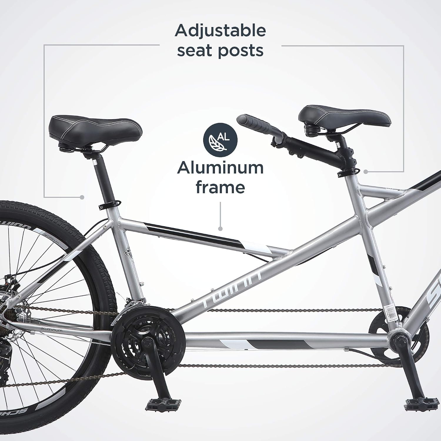 Schwinn Twinn