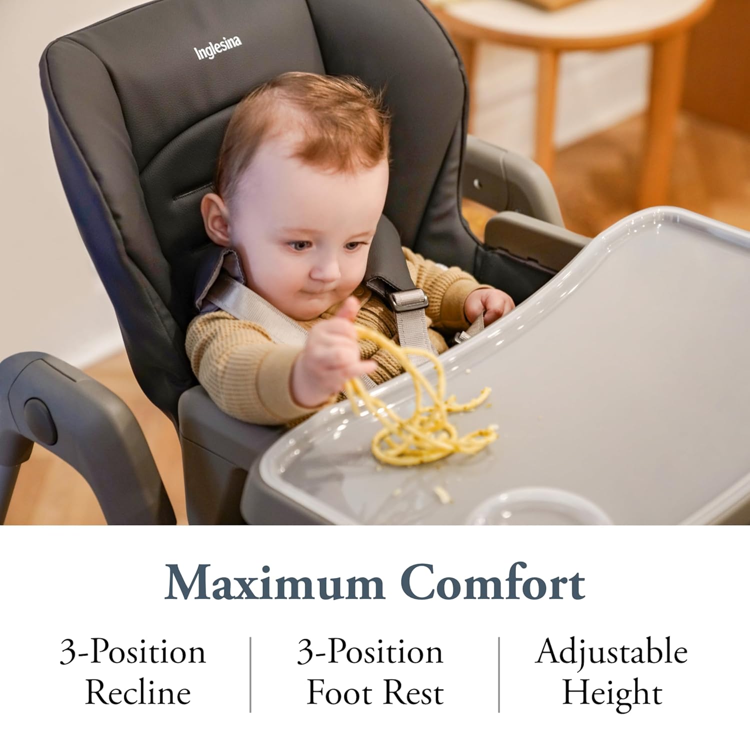 Inglesina My time Highchair, Pepper - Adjustable High Chair for Babies & Toddlers, 4 Height & 3 Recline Settings, Collapsible, Tool-Free Assembly, BPA Free, Removable Tray for Easy Cleaning