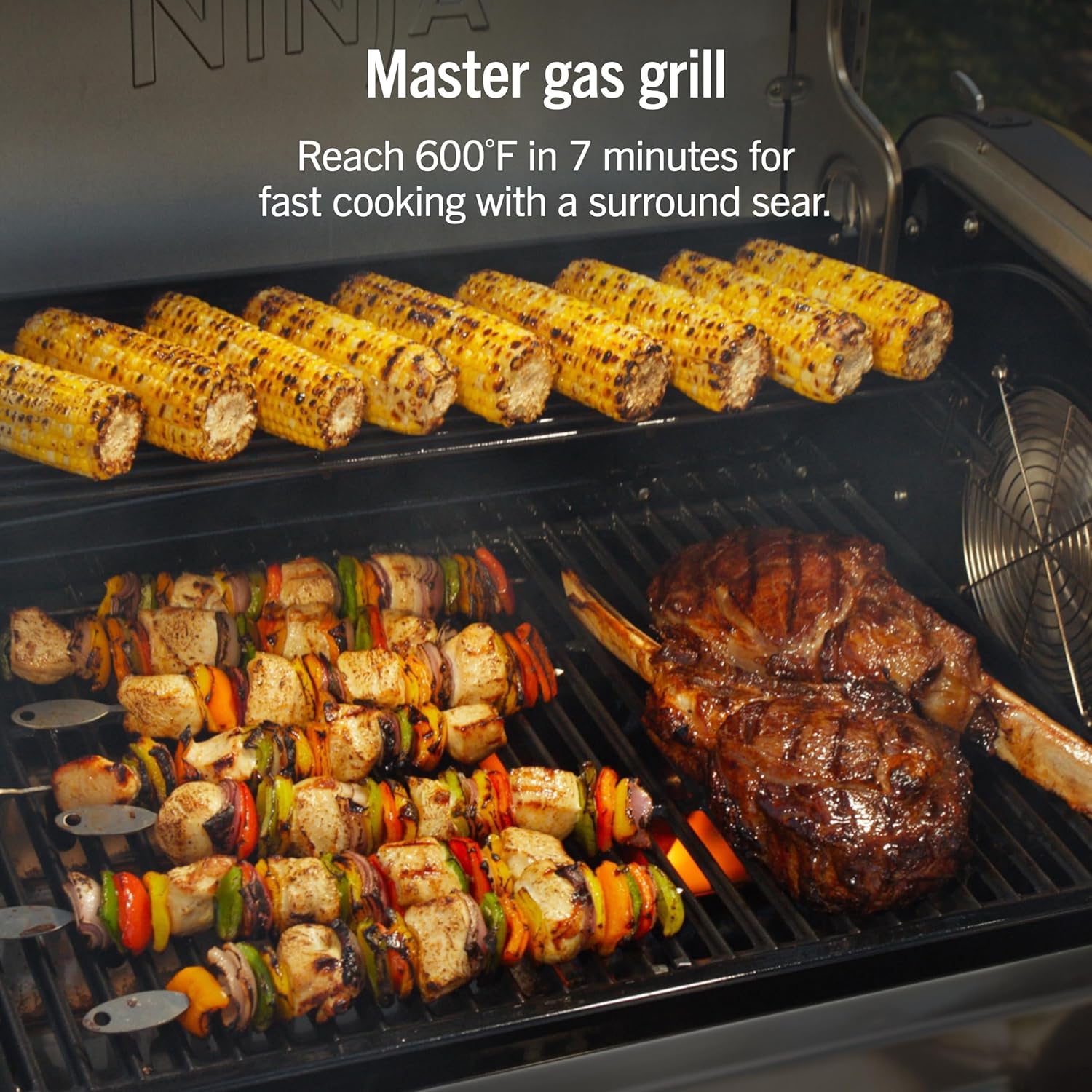 Ninja FlexFlame ProConnect Grill & Smoker | 5-in-1 Smart Cooking System | Electric & Propane | App-Connected | 3-Burner Digital Control | Roast, Griddle & Pizza Maker | Black/Gold | PG305