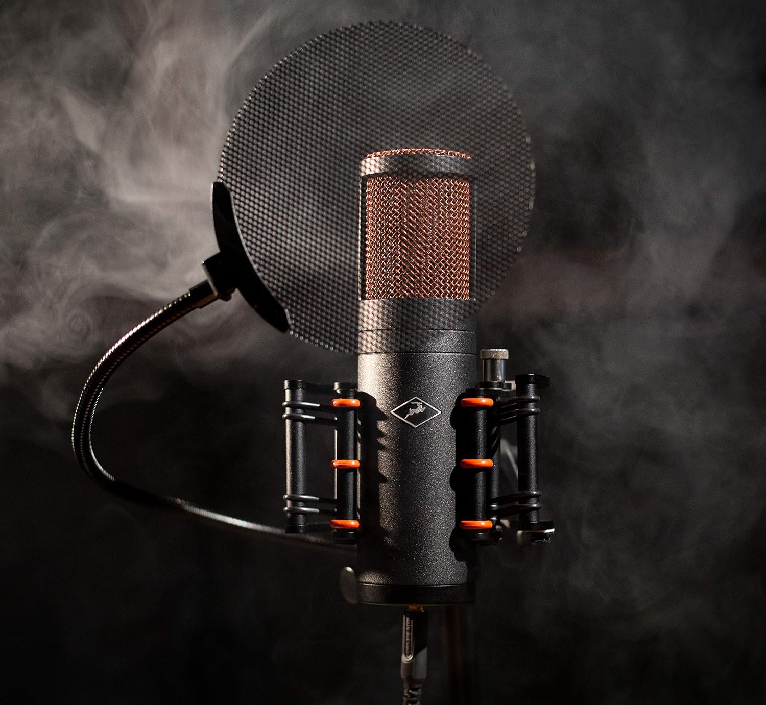 Antelope Audio Edge Go Large Diaphragm Condenser USB C Microphone for PC, Computer & Desktop — Studio Mic for Audio Voice, Music Recording, Live Streaming & Podcasting — Black Mic w/ 18 Vintage Models