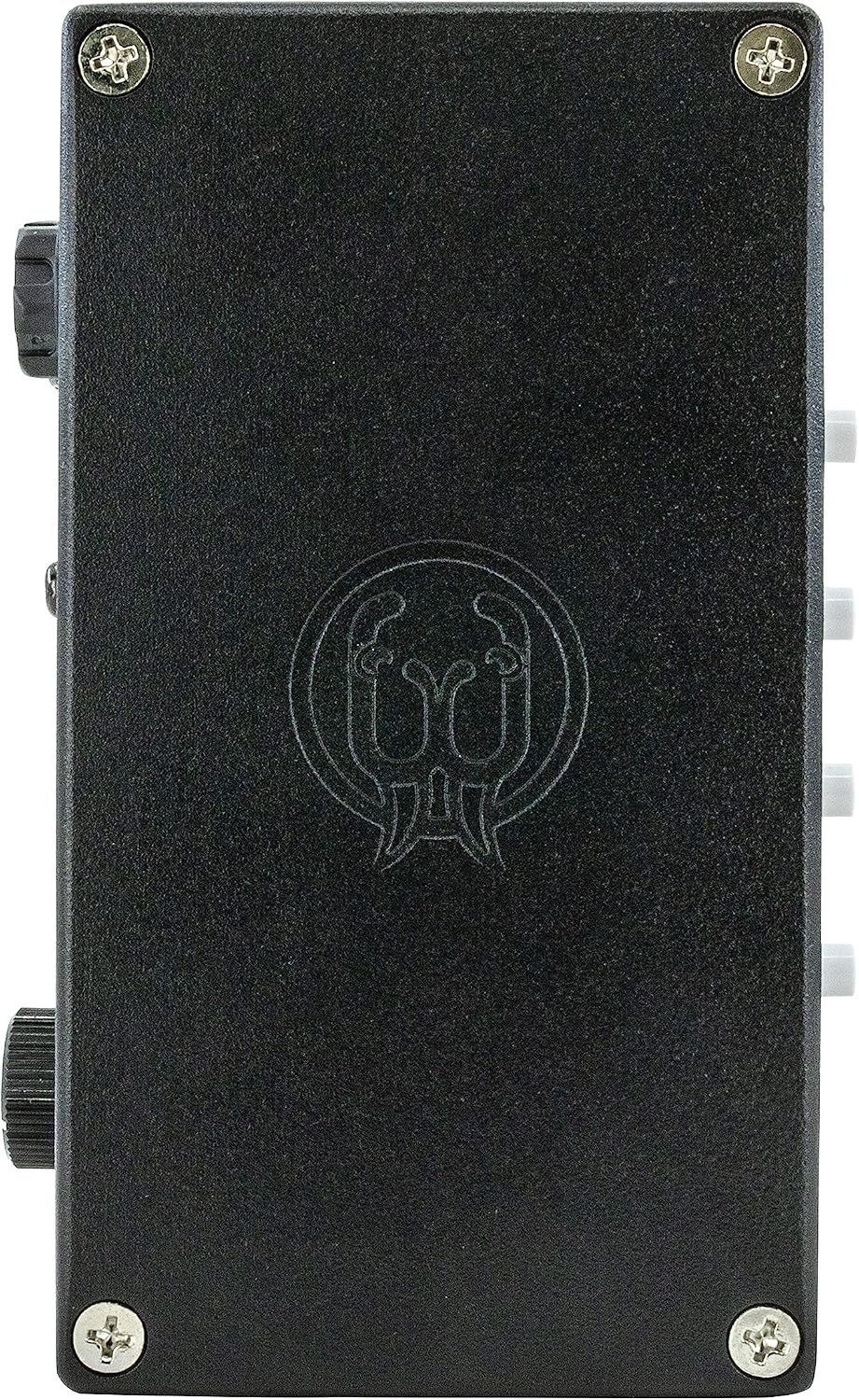 Walrus Audio Canvas Re-Amp