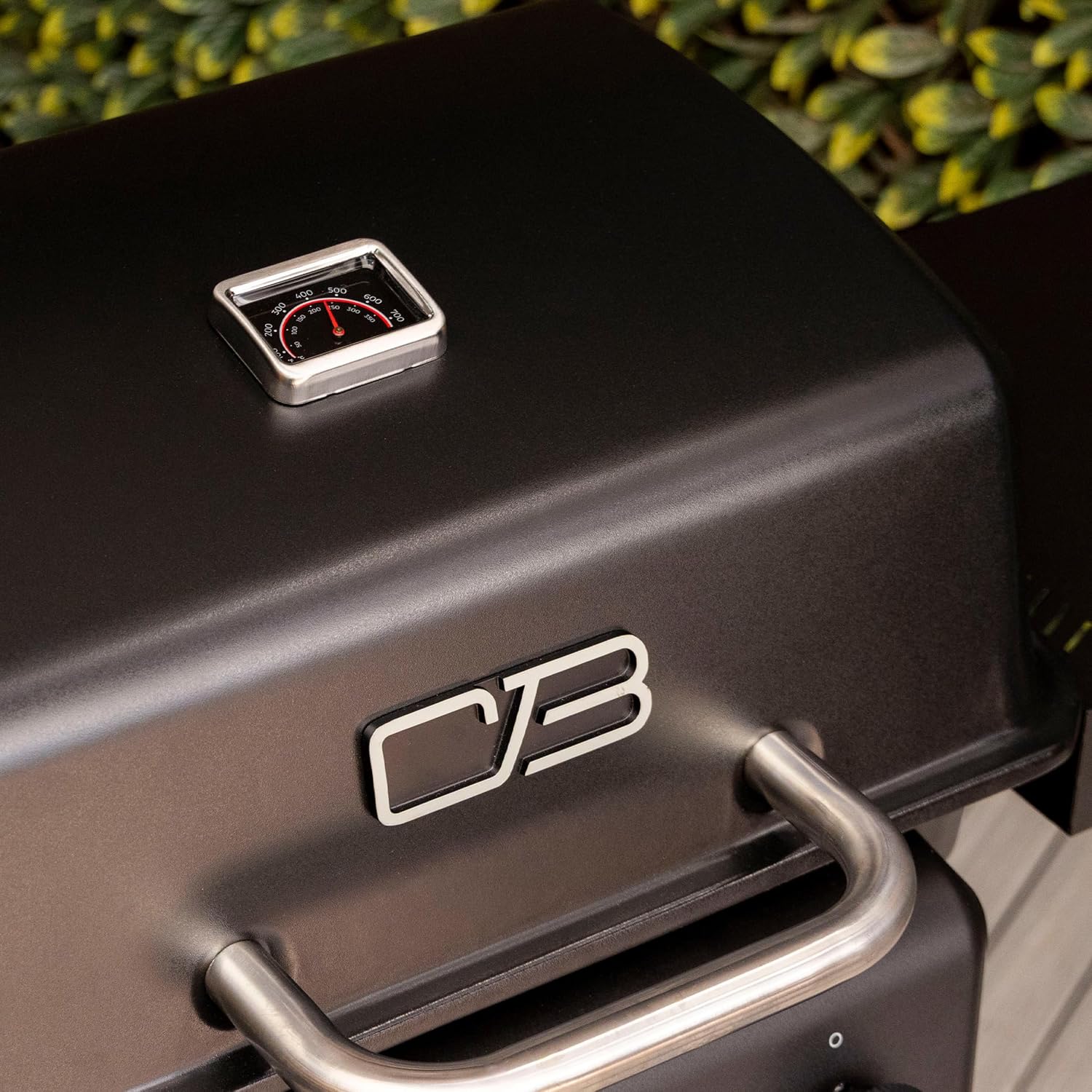 Charbroil Classic Series 2 Burner Gas Grill - 463637626