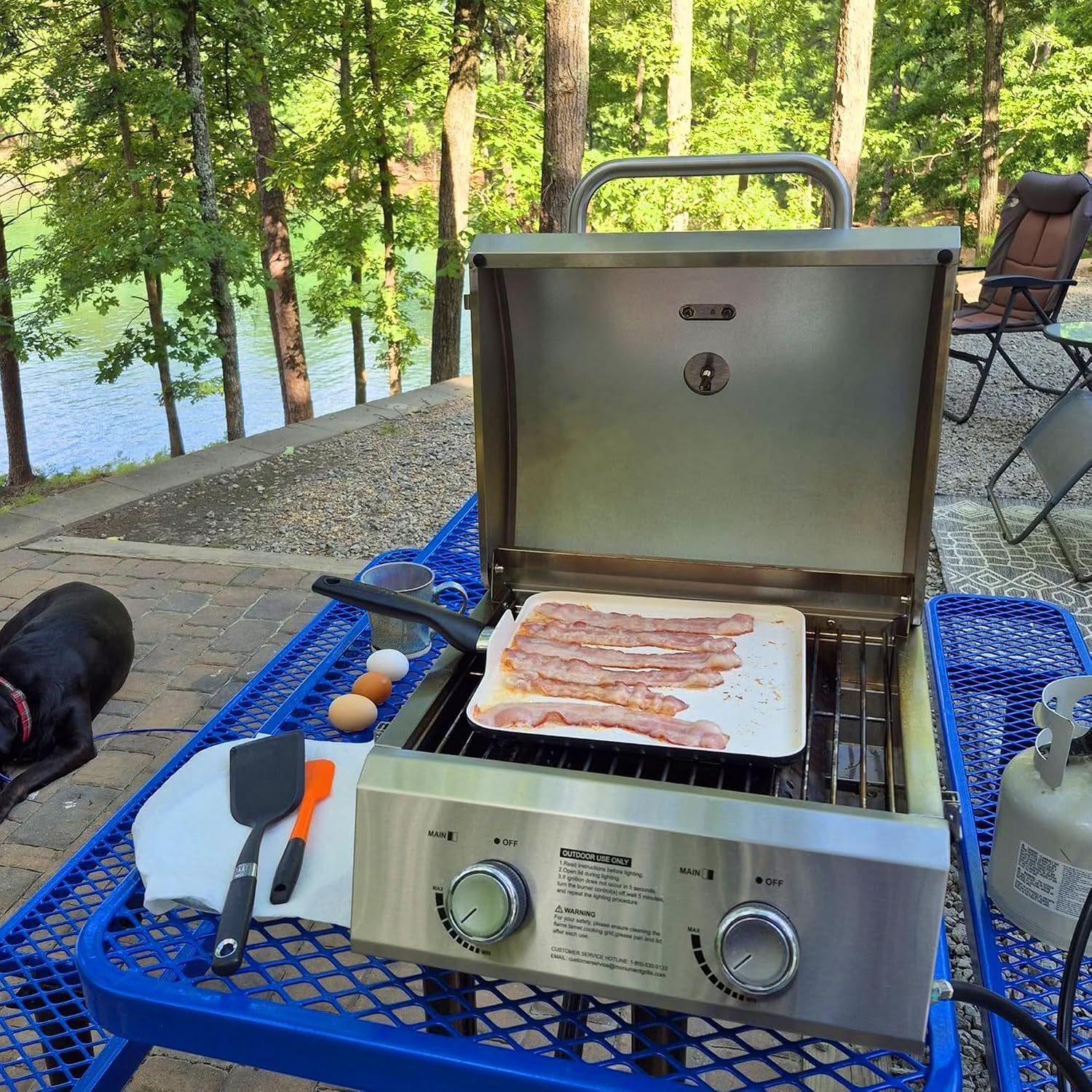 Monument Grills Tabletop Propane Gas Grill for Outdoor Portable Camping Cooking with BBQ Cover(2 items)